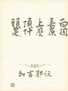 头顶上长白头发是什么原因导致的