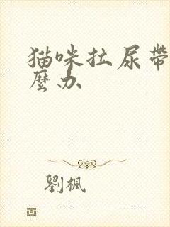 猫咪拉尿带血怎么办