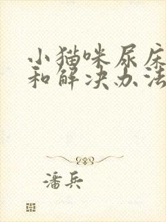 小猫咪尿床原因和解决办法