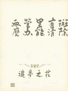 血管里有斑块怎么办能清除吗