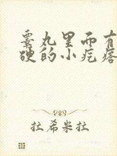 睾丸里面有个硬硬的小疙瘩应该挂什么科