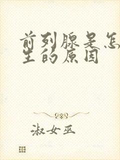 前列腺是怎么产生的原因