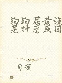 狗狗尿黄没食欲是什么原因