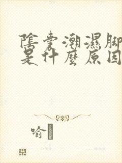 阴囊潮湿脚出汗是什么原因