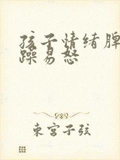 孩子情绪脾气暴躁易怒