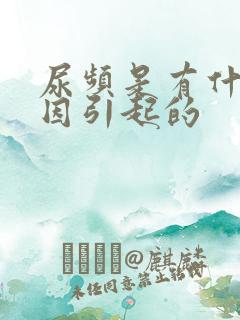 尿频是有什么原因引起的