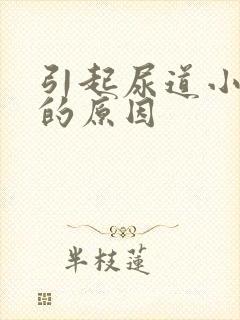 引起尿道小水泡的原因