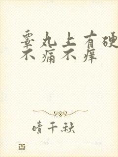 睾丸上有硬疙瘩不痛不痒