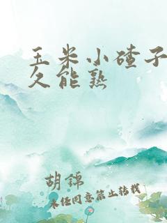 玉米小碴子煮多久能熟