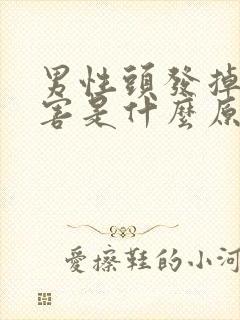 男性头发掉的厉害是什么原因