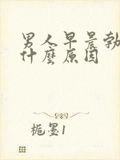 男人早晨勃起是什么原因