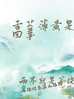 舌苔薄黄是怎么回事