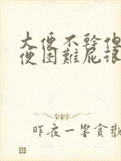 大便不干但是排便困难屁很多