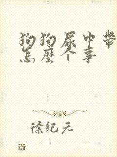 狗狗尿中带血是怎么个事