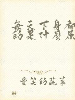 每天下身都是湿的是什么原因