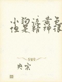 小狗流黄色鼻涕但是精神很好