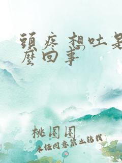 头疼 想吐是怎么回事