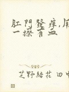 肛门发痒,用纸一擦有血