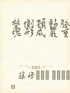 双侧颈动脉内斑块形成严重吗