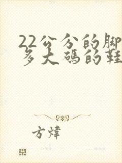 22公分的脚穿多大码的鞋