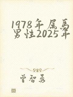 1978年属马男性2025年运势及运程详解