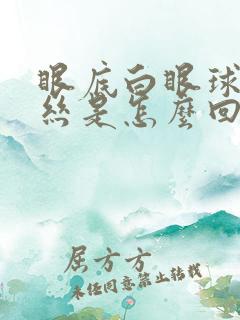 眼底白眼球有血丝是怎么回事