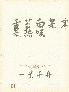 舌苔白是寒咳还是热咳