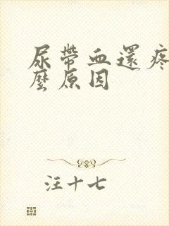 尿带血还疼是什么原因