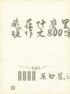 藏在什么里的温暖作文800字