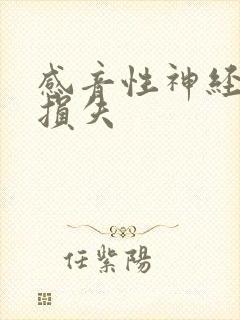 感音性神经听力损失