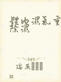 体内湿气重快速除湿