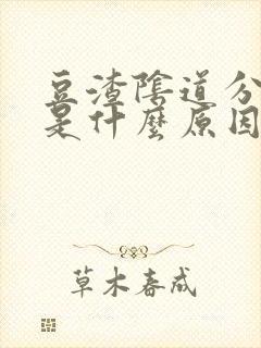 豆渣阴道分泌物是什么原因