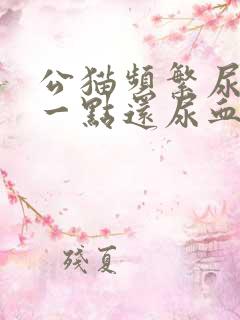 公猫频繁尿只尿一点还尿血