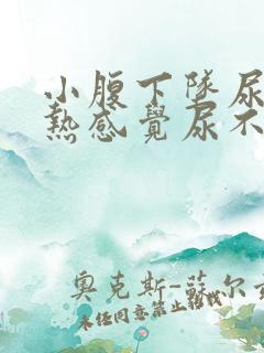 小腹下坠尿道灼热感觉尿不尽