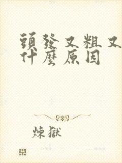 头发又粗又黑是什么原因