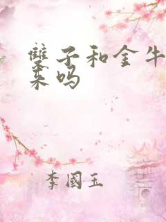 双子和金牛合得来吗