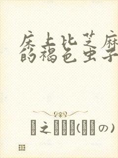 床上比芝麻还小的褐色虫子