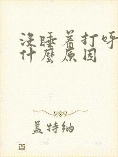 没睡着打呼噜是什么原因