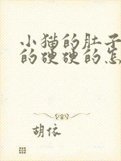 小猫的肚子鼓鼓的硬硬的怎么回事