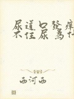 尿道口发痒 憋不住尿 为什么