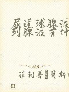 尿道球腺液和前列腺液有什么区别