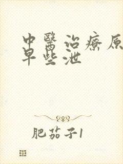 中医治疗原发性早些泄