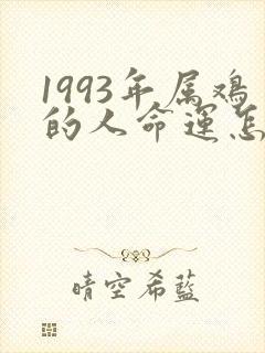 1993年属鸡的人命运怎么样