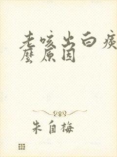 老咳出白痰是什么原因