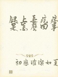 腿上长疙瘩很痒是怎么回事