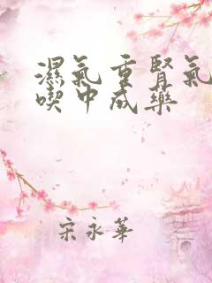 湿气重肾气不足吃中成药