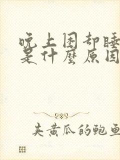 晚上困却睡不着是什么原因