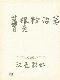 葛根粉治萎缩性胃炎