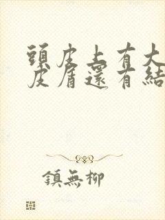 头皮上有大块头皮屑还有结痂,特别痒