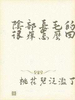 阴部长毛的地方很痒怎么回事